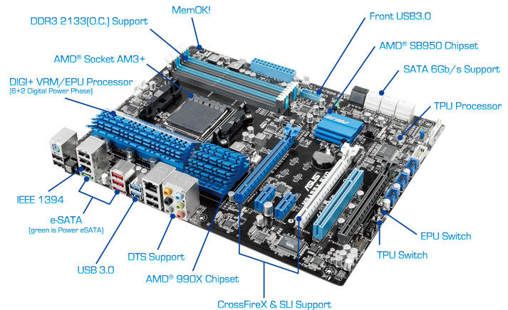 Mother Board ASUS M5A99X EVO